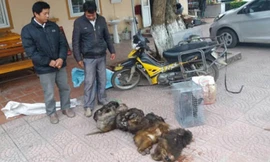 Hai đối tượng và tang vật tại CQĐT.