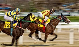 Vì sao dự án trường đua ngựa 100 triệu USD bị thu hồi