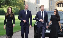 Vua Charles, William - Kate và Harry - Meghan đều bị sụt giảm danh tiếng