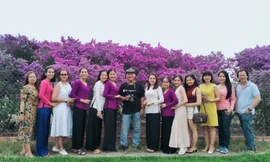 Phát sốt bước vào vườn hoa Linh Sam màu tím khổng lồ ở Long An, tha hồ quay phim, chụp ảnh