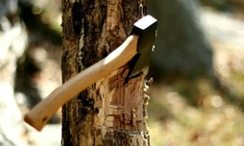 Bản tin 8H: San mặt bằng dựng rạp cưới vợ, nam thanh niên bị cây đè tử vong