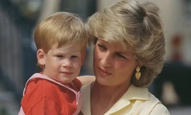 Harry sử dụng ma túy để quên đi cái chết bi thảm của Công nương Diana