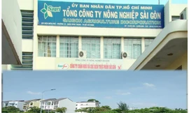 Phơi lộ thêm nhiều sai phạm tại Tổng công ty Nông nghiệp Sài Gòn