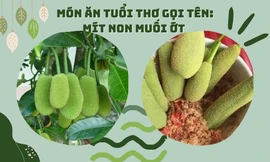 Trở về tuổi thơ với món "đặc sản" khiến các TikToker phải săn tìm: Mít non chấm muối ớt
