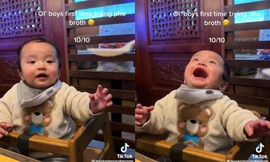 Lần đầu thưởng thức phở Việt Nam, biểu cảm của em bé nước ngoài thu hút gần 4 triệu lượt xem