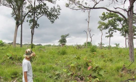 Đất do Ban QLRPH Ia Puch được UBND huyện Chư Prông cấp cho ông Nguyễn Văn Ngọc