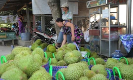 Nông sản Đồng bằng sông Cửu Long giữa mùa khó khăn kép