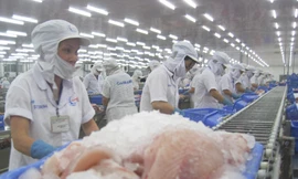 Các nhà máy chế biến thủy sản thiếu nguyên liệu trầm trọng