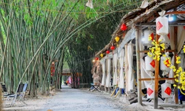 Khám phá vườn tre 'độc nhất vô nhị' ở miền Tây