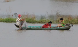 Lay lắt mưu sinh mùa nước nổi miền Tây