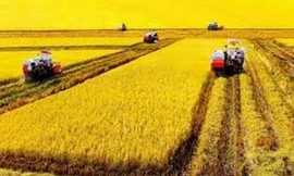 400 tỷ đồng xây dựng Bảo tàng Nông nghiệp Đồng bằng sông Cửu Long