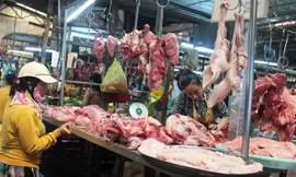 Hậu Giang cho phép doanh nghiệp bán thịt heo bình ổn thấp hơn giá thị trường