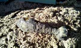 Quả đạn cối 82 li được phát hiện tại hiện trường