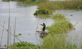 Mưu sinh mùa nước nổi miền Tây