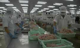 5.300 doanh nghiệp ở ĐBSCL ngừng hoạt động và giải thể