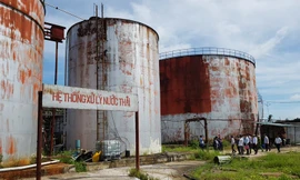 Doanh nghiệp gây ô nhiễm sông Hậu Giang bị phạt hơn 700 triệu đồng