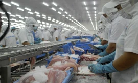 Chế biến thủy sản xuất khẩu ở ĐBSCL. Ảnh: Cảnh Kỳ