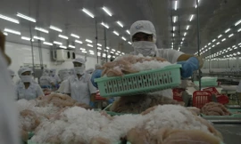 Gặp khó do COVID-19, doanh nghiệp còn bị 'hành' thủ tục hành chính