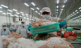 Tháo gỡ khó khăn cho hoạt động tín dụng đối với doanh nghiệp tại ĐBSCL