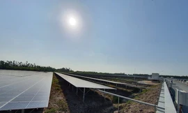 Nhà máy gồm 79.000 tấm pin năng lượng mặt trời.