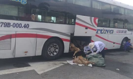 Hơn 2 tạ thịt dê không đảm bảo vệ sinh chuẩn bị lên bàn nhậu