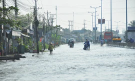 Cần 300 tỷ đồng để xử lý các điểm ngập quốc lộ 1 qua miền Tây