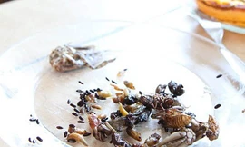 Bữa tối “ngon lành” của ông Gracer