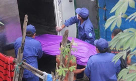 Lực lượng chức năng tiến hành đưa thi thể về nhà xác.