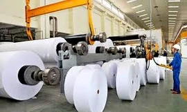 70% giấy tại Việt Nam sản xuất từ giấy phế liệu. ảnh minh hoạ