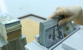 Tỷ giá trung tâm tiếp tục tăng cao. ảnh minh họa 