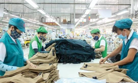 Cả nước có hơn 505 nghìn DN đang hoạt động. ảnh minh hoạ 