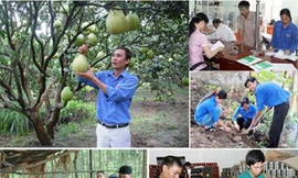 Tín dụng chính sách cho thanh niên lập nghiệp. Ảnh VBSP 