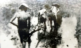 Tình cảnh cơ cực của người nông dân Việt Nam đầu Thế kỷ 20