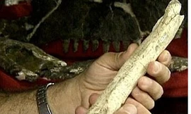 Hóa thạch khủng long 70 triệu năm tuổi