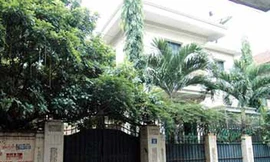 Luật pháp bất vị thân