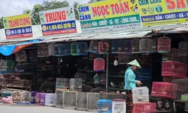 'Địa ngục chim trời' lớn nhất miền Tây trước khi thành trạm dừng chân