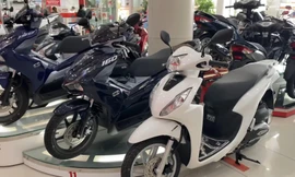 Giá Honda Vision 'giảm nhiệt'