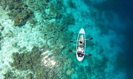 Ngắm rạn san hô lớn nhất thế giới vào mùa sinh sản