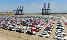 Bức tranh ô tô nhập khẩu tại thị trường Việt Nam