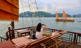 Sắp 'xóa sổ' thuyền buồm du lịch vịnh Hạ Long?