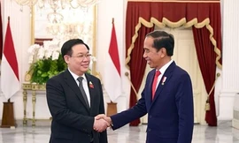 Chủ tịch Quốc hội kết thúc chuyến thăm Indonesia, dự AIPA-44 và thăm Iran