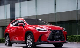 Triệu hồi Lexus NX350 tại Việt Nam do lỗi phanh