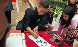 Ngắm những tác phẩm thư pháp trên tranh độc đáo của 'ông đồ' 9X