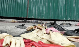 Những kẻ nhẫn tâm