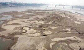 Sông Hồng sắp hết... hồng