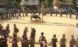 Xạ thủ Bríu Đô cùng với những huy chương mà ông giành được sau các kỳ thi