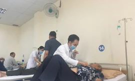 Cắt tỉa cây, hai vợ chồng bị đàn ong đốt hơn 300 nốt