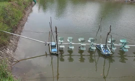 Hệ thống quạt khí trong ao tôm tiềm ẩn nhiều nguy hiểm 