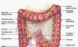 Bé gái phát hiện mắc bệnh hiếm khi siêu âm để xuất viện