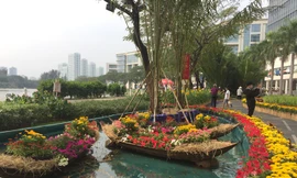 Đường hoa xuân đậm nét quê ở 'phố nhà giàu' Sài Gòn